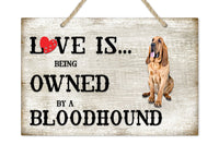 [Unique Home Decor, Ornaments, and Gifts Online]-Traci's Fun Creations