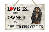 [Unique Home Decor, Ornaments, and Gifts Online]-Traci's Fun Creations